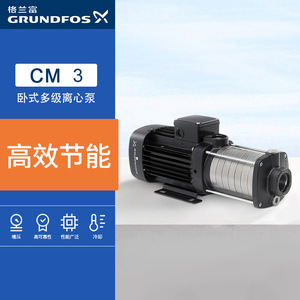 Bomba centrífuga multietapa horizontal Grundfos de 1 HP con motor eléctrico, conexión de brida, salida de 1 pulgada y cabezal de succión de 5 m - Product Image 3