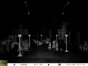 Caméra de <span class=keywords><strong>chasse</strong></span> Keepguard 4.0 avec application, <span class=keywords><strong>antivol</strong></span>, LTE, GPS, vision nocturne, cloud - Product Image 6