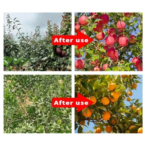 <span class=keywords><strong>Fertilizante</strong></span> Específico <span class=keywords><strong>para</strong></span> Huertos, <span class=keywords><strong>Fertilizante</strong></span> Orgánico Soluble en Agua que Mejora el Rendimiento y Resiste a las Enfermedades de los Huertos - Product Image 4