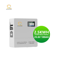Batteries au lithium-fer BR SOLAR 25,6 V 100 Ah 2,5 kWh, batterie LiFePO4 murale intelligente avec écran LCD pour l'énergie solaire domestique