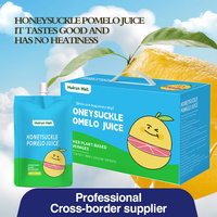 Jus de fruits à base de plantes naturel OEM boisson chèvrefeuille pomelo aloès mangue ananas goyave pomme raisin baies aromatisé certifié Halal