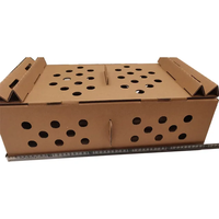Boîte de transport en carton ondulé recyclable, découpée sur mesure et gaufrée, pour volailles vivantes et poussins, vente en gros