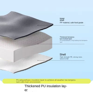 Glacière isotherme portable avec logo personnalisé pour le camping en plein air et les pique-niques Solution <span class=keywords><strong>de</strong></span> stockage des aliments Offre Spéciale Pe Glacière - Product Image 5