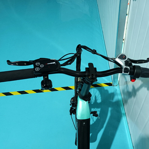 สกู๊ตเตอร์ไฟฟ้าแบบมีมอเตอร์ฮับกลางตัวถัง แบตเตอรี่ซ่อนในตัว รุ่น Step Through Swan Scooters Outdoor Hub Moto - Product Image 5