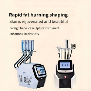Produtos em Alta 2026: Máquina de Criolipólise com 4 Manípulos, Máquina de Emagrecimento com Polia de Cabo Duplo, Equipamentos de Beleza para Emagrecimento, Novas Tecnologias - Product Image 4