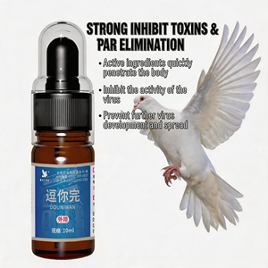 Elimina Eficazmente la <span class=keywords><strong>Viruela</strong></span> <span class=keywords><strong>Aviar</strong></span>, Curación de Lesiones Cutáneas, Recuperación Natural y Segura, Uso Externo para <span class=keywords><strong>Aves</strong></span> de Corral, para Palomas, 10 ml/botella - Product Image 2