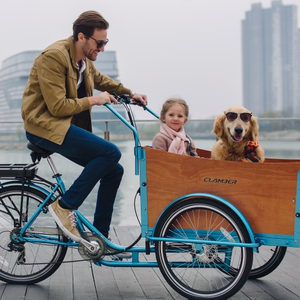 <span class=keywords><strong>Vélo</strong></span> électrique à trois roues, autonomie 6 vitesses, assistance électrique, cargo, UB 9032E - Product Image 3