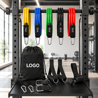 Bandes de Résistance Tubulaires avec Poignées – Lot de 11 Pièces Empilables pour Entraînement à Domicile – Logo Personnalisé – Vente en Gros