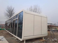 Cabane Apple de 40 pieds - Tiny House - Maisons modulaires préfabriquées professionnelles sur mesure - Villa - Cabane conteneur meublée