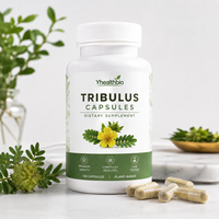 Capsules de Tribulus Botanique Premium – Extrait de Fruit Standardisé, Matière Première pour la Production de Marques