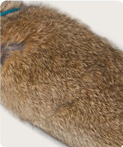 Prezzo di fabbrica all'ingrosso pelliccia di coniglio giocattoli da masticare per cani giocattolo interattivo di peluche - Product Image 2