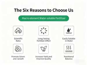 수용성 비료 NPK 복합 비료 농작물용 농업용 균형 비료 - Product Image 5