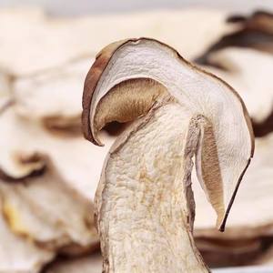 "פרימיום אורגני Wild קציר פורצ 'יני פטריות אבקה-טהור, עשירים בחומרים מזינים קולינרית רחת עבור גורמה בישול ובריאות Supp - Product Image 5