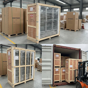 <span class=keywords><strong>Réfrigérateur</strong></span> commercial vertical SWENZA avec logo personnalisable, congélateur de stockage frigorifique, congélateur commercial sur pied - Product Image 6