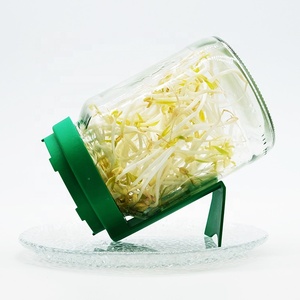 Kit per Germogli in <span class=keywords><strong>Plastica</strong></span> con Manico, Nuovo Design <span class=keywords><strong>di</strong></span> Coperchi per Barattoli Mason a Bocca Larga per Coltivare Germogli <span class=keywords><strong>di</strong></span> Fagioli e Broccoli - Product Image 6