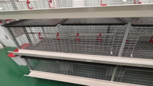 Jaula para Pollos de Acero Galvanizado de 3 Niveles y 2 Puertas, Capacidad para 60 Aves, Resistente a la Oxidación - Product Image 2