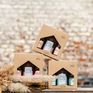Set de Regalo de Ginebra Artesanal Belga con Infusión de Frutas |   1x50cl Ginebra (43% ABV) + 4x25cl Tónico Premium |   Regalo Corporativo con Logotipo Personalizado - Product Image 6