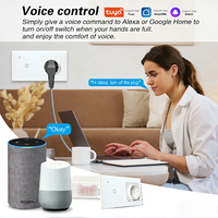 SHINELITE Interrupteur mural intelligent Wi-Fi 1 voie de bonne qualité avec télécommande (norme UE Allemagne) et prise USB A+C