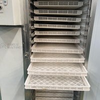 Four de séchage à économie d'énergie et efficace Armoire de séchage automatique Machine de séchage des aliments pour pâtes de macaroni