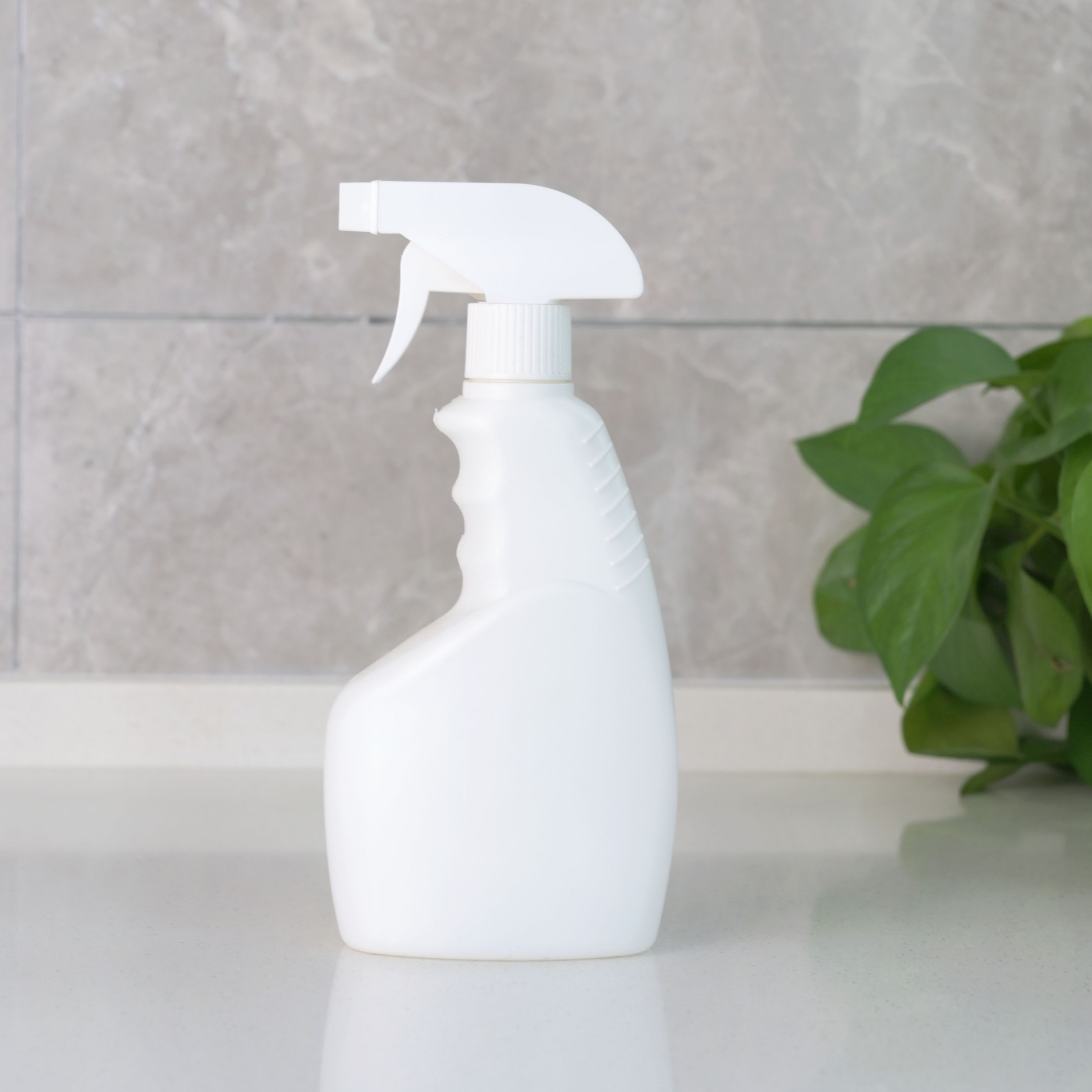 โปร่งใส