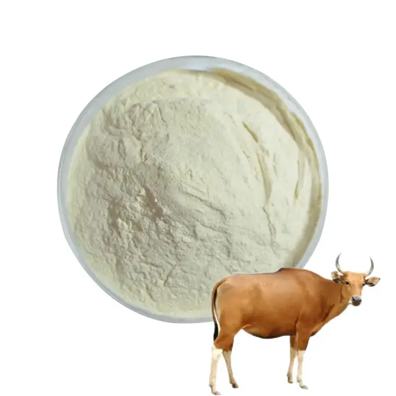 Peptide de collagène osseux bovin avec de bons peptides de collagène de haute qualité solubles dans l'eau à partir d'os de vache