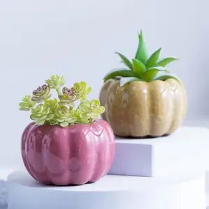 Macetas de flores creativas para grietas de hielo, mesa interior, planta verde, maceta pequeña, maceta fresca de Color