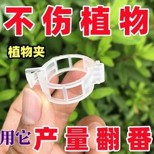 Clips de plástico blancos para atar plantas, 100 por paquete, para fijación de soporte de plantas de jardín - Product Image 4