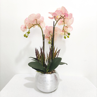 Bunga Anggrek Kupu-kupu Pesanan Khusus Terbaru Set Tanaman Bonsai Pot Anggrek Phalaenopsis Anggrek Sentuhan Nyata