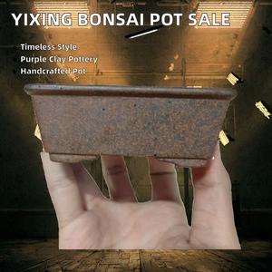 Venta caliente hecho a mano Yixing Gold Sand Rec Tan <span class=keywords><strong>Gular</strong></span> Bonsai diseño clásico estilo Popular para plantas de bonsái - Product Image 3
