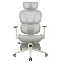 Fauteuil de Bureau Ergonomique en Maille Intégrale pour Dirigeant, avec Accoudoirs 3D