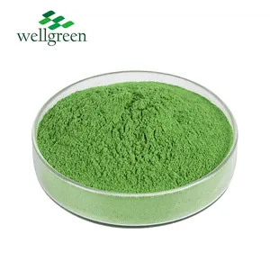 Wellgreen USDA & EU organico 200 Mesh erba di grano polvere verde per bevanda