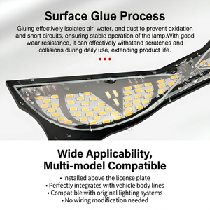 Shuntour - Luz LED Universal para Matrí<span class=keywords><strong>cula</strong></span> <span class=keywords><strong>de</strong></span> Motocicleta, Resistente al Agua IP68, Sin Perforación, Ojos <span class=keywords><strong>de</strong></span> Demonio, Lámpara Intermitente - Product Image 4