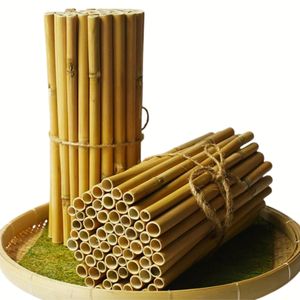 Pailles à roseau bio durables, sûres et à usage unique pour toutes les boissons au meilleur prix - Product Image 4