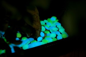 Fournitures <span class=keywords><strong>de</strong></span> jardin, galets lumineux, pierres brillantes, décoration <span class=keywords><strong>de</strong></span> pierres, pierres qui brillent <span class=keywords><strong>la</strong></span> nuit - Product Image 4