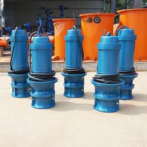 SUOU ZQB High Power <b>Submersible</b> Axial Flow <b>Pump</b> Large Diameter Mixed Flow <b>Pump</b> Farmland Irrigation Flood Control - Product Image 6