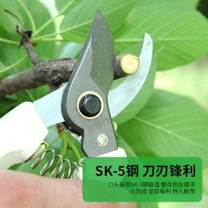 Pruning <b>Shears</b> 190mm SK5 Steel Blade Bypass Garden <b>Tool</b> Red Handle - Product Image 3