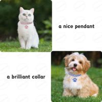 Collier de luxe avec strass pour animaux de compagnie Perle brillante Accessoire pour animaux de compagnie Collier de bijoux pour chien et chat
