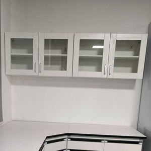 ארון תליית מעבדה עבור חנות מעבדה מעל קיר מותקן ארון פלדה של עמידות בפני קורוזיה וחסין מים - Product Image 5