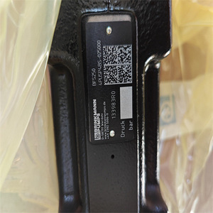 BRINKMANN 4PUSP4BS-025000 Pump <b>Body</b> Genuine German Hydraulic Unit for Construction - Product Image 3