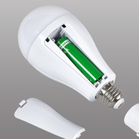 Ampoule de secours LED AC85-265V rechargeable de haute qualité haute luminosité avec batterie détachable pour le camping en plein air