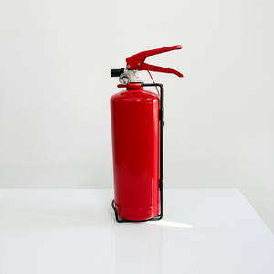 <span class=keywords><strong>Extincteur</strong></span> à poudre sèche certifié ISO CE, cylindres DCP de 2 kg, différents types disponibles - Product Image 1