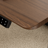 Bureau d'ordinateur électrique réglable en hauteur, moderne et personnalisable, avec double moteur, en bois, pour mobilier intelligent de bureau