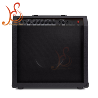 Kualitas tinggi grosir pabrik Cina penjualan terlaris 60 Watt Gitar Akustik pengeras suara elektrik gitar Bass Amplifier