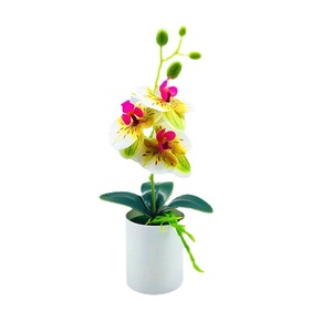 Qi Xing Artificial Phalaenopsis Orchid <b>30cm</b> Soft PVC <b>Potted</b> <b>Plant</b> For Home Decor - Product Image 5