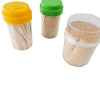 Bouteille de cure-dents en bois de bouleau biodégradable, jetable, écologique, au design personnalisé, aromatisée à la menthe, pour le nettoyage des dents