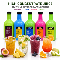 Premium Hooggeconcentreerd Sap 8X, Echte Fruit Smaak, 2,1kg x 8/Verpakking, voor Bubble Tea Shops & Juice Bars, OEM