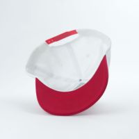 Gorra de Béisbol Unisex con Diseño Nuevo, Bordado de Letras Oxford con Estampado de Leopardo, Gorra de Moda para Exteriores con Cierre a Presión, Visera Curva de Dos Tonos Personalizada