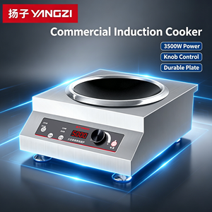 Cocina <span class=keywords><strong>de</strong></span> Inducción Cóncava <span class=keywords><strong>de</strong></span> 3500W, 220V, Acero Inoxidable, Estufa <span class=keywords><strong>de</strong></span> Inducción Comercial, 8 Niveles <span class=keywords><strong>de</strong></span> Potencia <span class=keywords><strong>para</strong></span> Restaurante o Cantina - Product Image 3