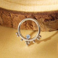 Clicker en acier chirurgical 316L de calibre 16 personnalisé Anneau de nez à segment articulé Bijoux de piercing au septum