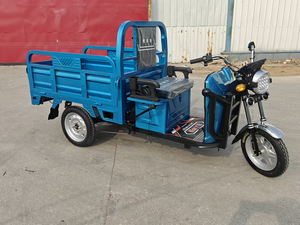 Quality Electric Three Wheel Cargo Tricycles Electric Motor Passenger for Family Use - Product Image 6